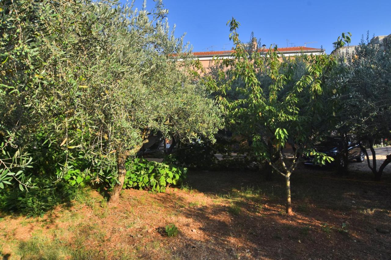 Apartment Edita