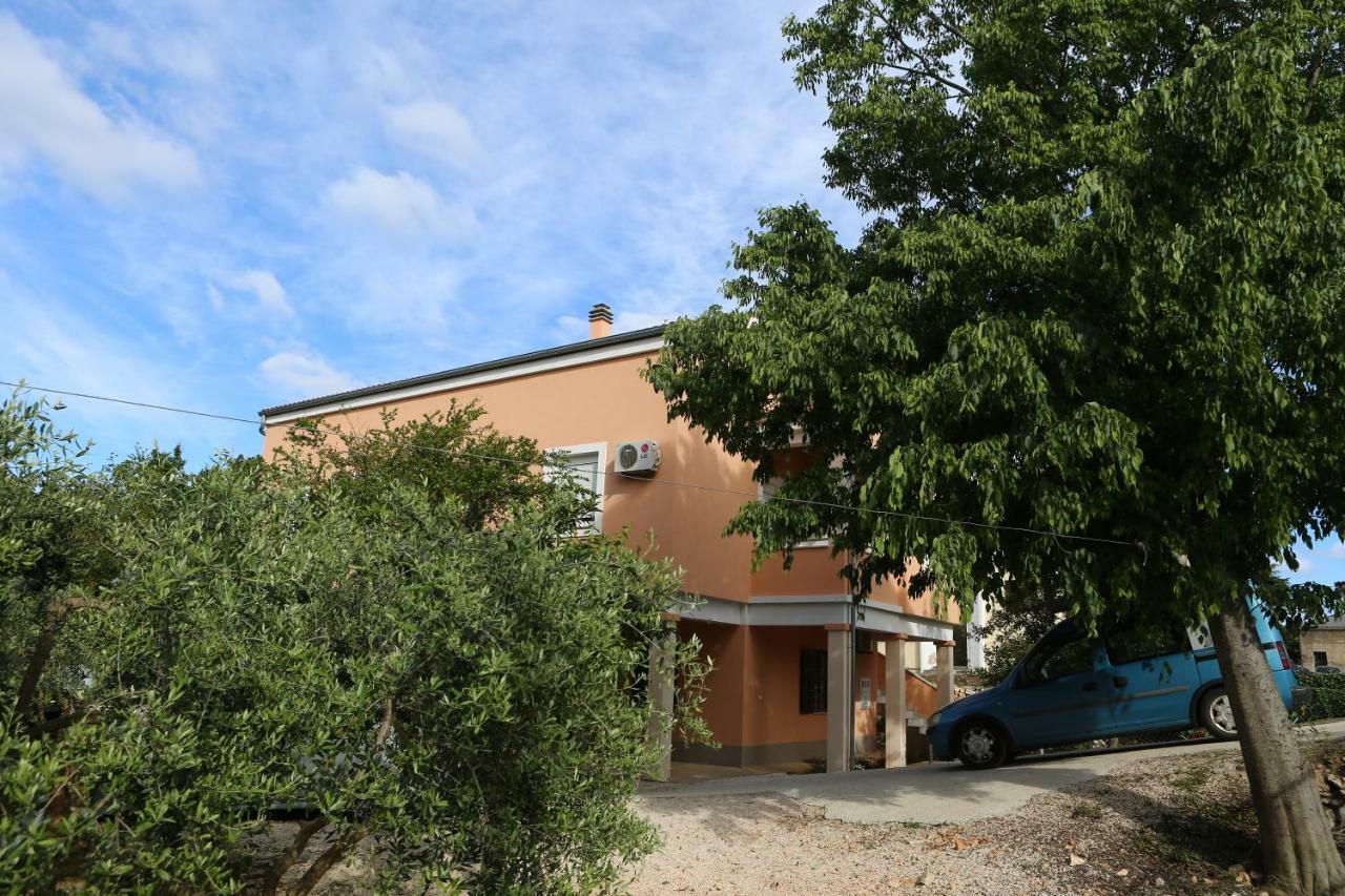 Edita Zadar
